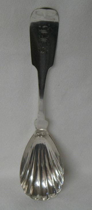 Norton & Co Antique Coin Silver Sugar Shell Spoon Syracuse Ny C.  1844 - 1859 photo