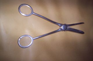 Pair Of Victorian Silver Plated Grape Scissors - Apprx.  6 1/2 