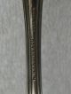 N Harding & Company Antique Coin Silver Tablespoon Serving Spoon Grasshopper Other photo 4