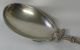 Whiting Birds Nest Sterling Silver Gilded Preserve Spoon Other photo 3