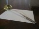 Exceptionally Rare Whiting Aesthetic Sterling Silver Daffodil Punch Ladle C1880 Other photo 1