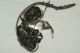 Vintage Sterling Silver Flower Brooch Mid - 1900 ' S Other photo 2