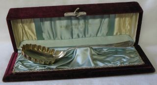 Wood & Hughes Cashmere Sterling Silver Fluted Berry Spoon C.  1878 Bright Cut photo