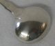 James Beebe Sterling Silver Master Salt Spoon London C.  1841 Other photo 5