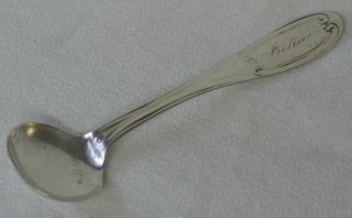 Aiken & Cook American Coin Silver Master Salt Spoon Tuscan Julia photo