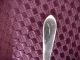 Sterling Silver Master Salt Spoon (wadesfield By S.  Kirk& Son Other photo 1