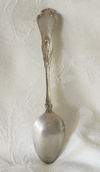 Wallace Silver Whiting Violet 1905 