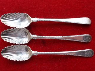 Antique 3 Solid Silver London 18th C Middle Marks Shell Tea Spoons Teaspoons photo