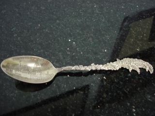 Sterling Silver Commercial Travelers Wheat Grass Spoon photo