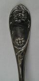A C Benedict American Coin Silver Lily Berry Scoop Spoon New York C.  1836 - 1865 Other photo 2