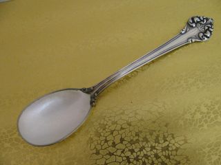 Reed&barton Sterling Silver Enamel Sugar Spoon photo