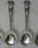 Bridal Rose Alvin Sterling Silver Ice Cream Slice Server & 12 Spoons Other photo 5