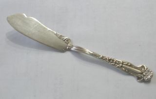 Blackinton Daisy Flat Handle Master Butter Knife Antique Sterling Rare 1904 photo