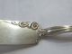 Blackinton Daisy Flat Handle Master Butter Knife Antique Sterling Rare 1904 Other photo 2