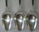 Taylor & Hinsdale American Coin Silver Teaspoon Set Of 3 Nj Ny Shell Back Other photo 1