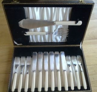 Solid Big Fork And Knive And Set Of Table Knives And Forks Bonehandl Boxed photo