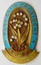Sterling Silver / Enamel Past Club President Pin 1951 - 53 N.  J.  S.  F. Other photo 1