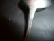Sterling Silver Sifter Spoon Other photo 1