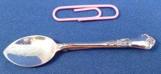Stately - Statehouse Sterling Spoon 