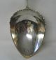 Starr & Marcus Antique Coin Silver Figural Squirrel Berry Spoon 1865 - 1877 Other photo 3