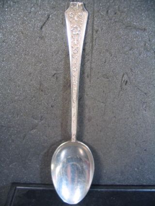 Sterling Weidlich Sterling Beauty Tablespoon Mono photo