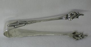 Durgin Cat Tails Sterling Silver Sugar Tongs C.  1898 Art Nouveau Cattails photo