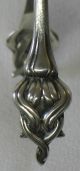 Durgin Cat Tails Sterling Silver Sugar Tongs C.  1898 Art Nouveau Cattails Other photo 4