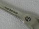 Durgin Cat Tails Sterling Silver Sugar Tongs C.  1898 Art Nouveau Cattails Other photo 6