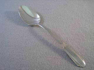 Serving Spoon Northumbria Sterling Silver Laurier photo