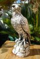 Amazing Eagle Statue Solid Silver Museum Quality Stamped 999 One Of Kind Other photo 1