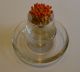 Antique English Glass Match Strike / Vesta - Sterling Silver - London 1912 Other photo 3