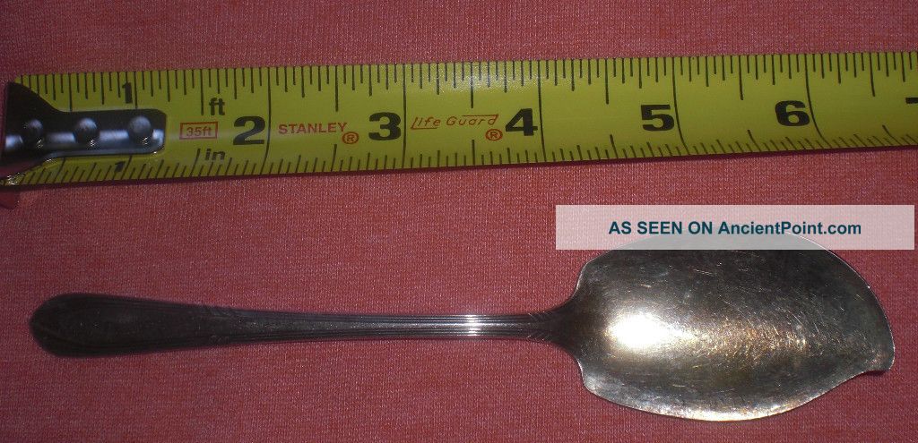 Silverplate Wm Rogers I S Fancy Citrus Spoon Sugar Server Other photo