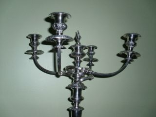 Pair Of Sheffield Silver 5 Arms Candelabras photo
