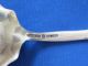 Towle Ponona Thomas Shell Shaped Sterling Silver Sugar Spoon B5647 Other photo 3