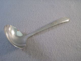Gravy Ladle Northumbria Sterling Silver Laurier photo