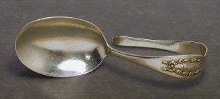 Napoleonic Sterling Curved Youth Spoon Shreve & Co 1905 Mono Infant Baby photo