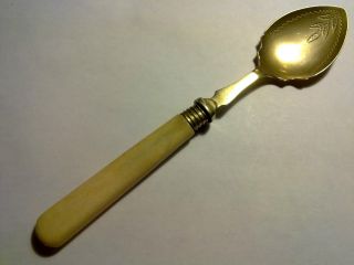 Rare Victorian Solid Spoon With Bone Handle photo