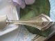 Webster Antique Sterling Handle Pastry/pie/cake Knife…1910…lovely Other photo 10