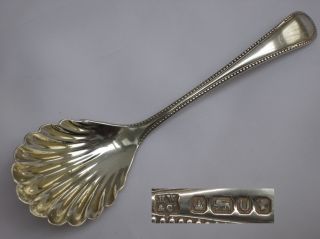 Stunning Large Victorian Sterling Silver Antique Clam Bowl Caddy Spoon Sheffield photo
