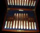 Large 24 Piece Oak Cased Service 12 Mother Pearl Handle Silverplate Knives/forks Other photo 1