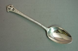 Classic Bouquet - Gorham Sterling Tea Spoon photo