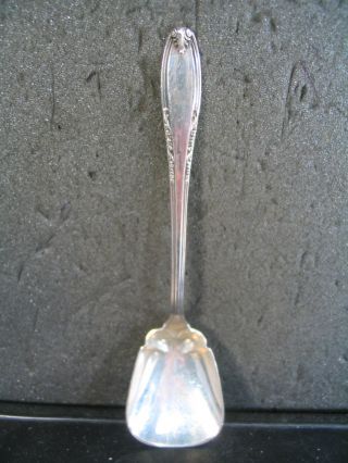 Sterling Manchester Leonore Sugar Shell Spoon Nm photo