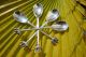 1900 Antique Solid Silver Set Of 8 Tea Or Coffee Spoons 3d Ship One Of Kind Other photo 10
