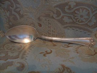 Rogers Fair Oak Silverplate Serving Spoon/tablespoon photo