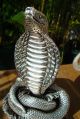 Sterling Silver 999 Stamped Amazing King Cobra Snake Statue One Of Kind Other photo 6