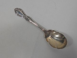 Northumbria Silver Cello Sterling Shell Shaped Sugar Spoon photo