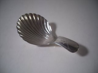 A Rare George Iii John Turner Silver Shell Caddy Spoon : Birmingham 1802 photo