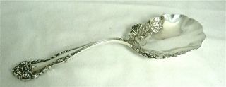 Massive Sterling Silver Serving Spoon photo