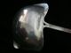 Antique Dutch Sterling Punch Ladle Other photo 3