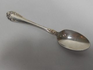 Northumbria Silver Normandy Rose Sterling Teaspoon (s) photo